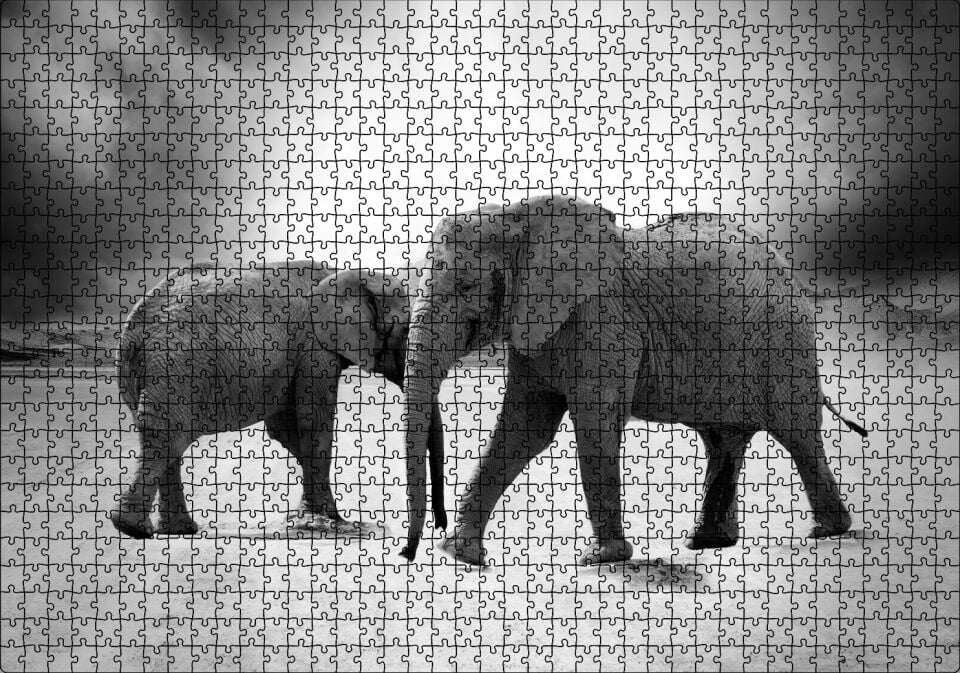 Savanada İki Fil ve Bulutlu Gökyüzü Monokrom Puzzle Yapboz MDF Ahşap 1000 Parça 49 cm X 68 cm