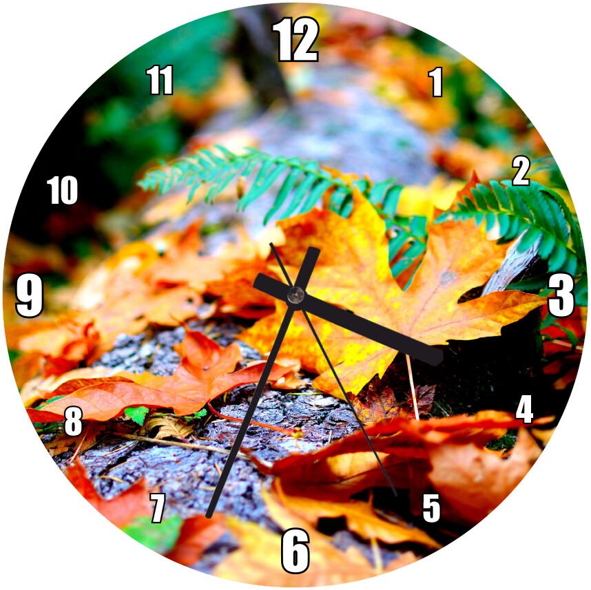 Sonbahar Doğa Kurumuş Ve Yeşil Yapraklar Görseli Mdf Ahşap Duvar Saati
