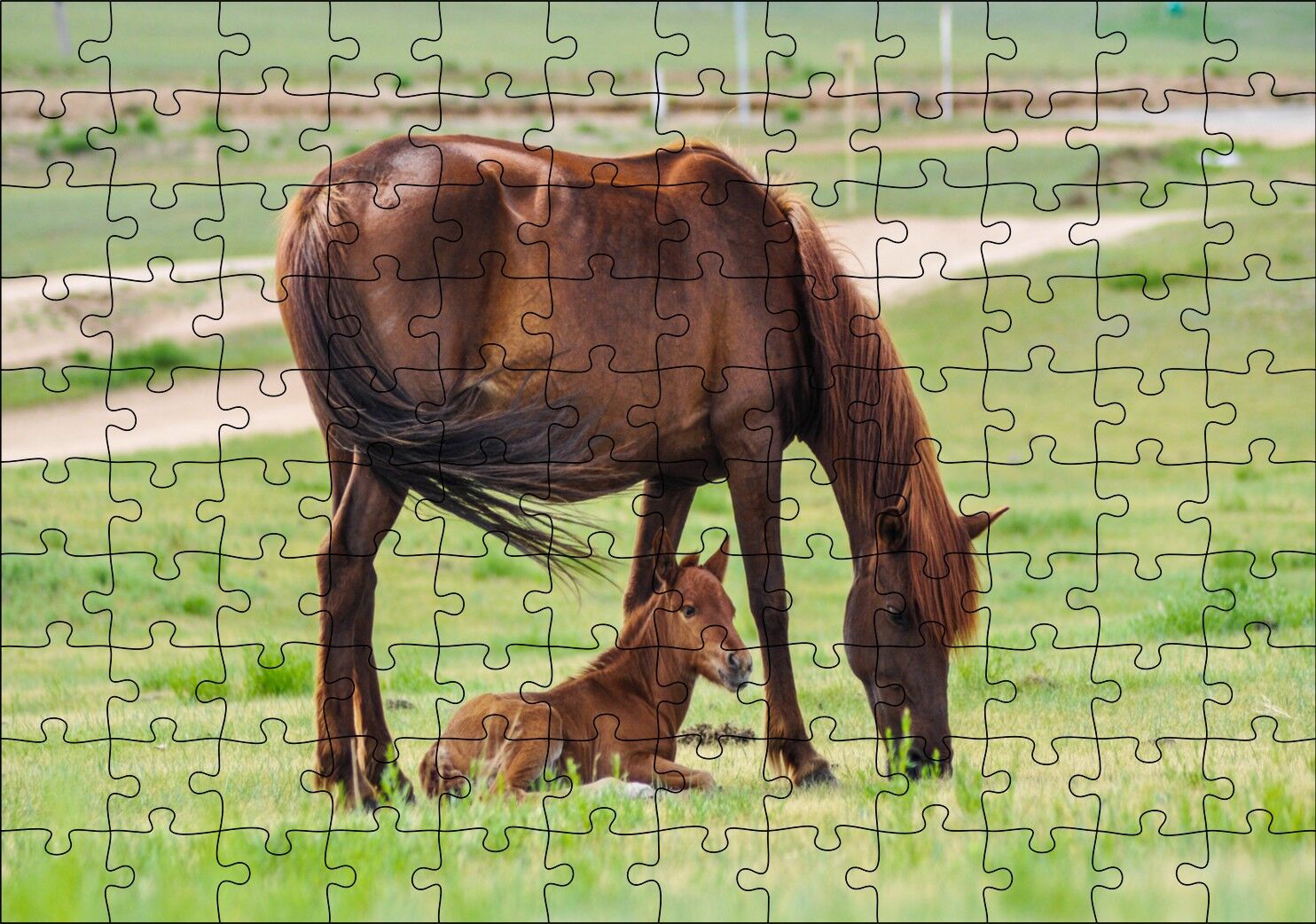 Çayırda Kahverengi Anne At ve Sevimli Tayı Puzzle Yapboz MDF Ahşap 120 Parça 24 cm X 34 cm