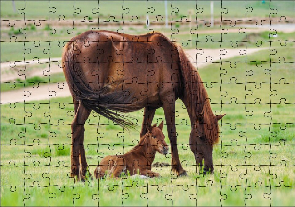 Çayırda Kahverengi Anne At ve Sevimli Tayı Puzzle Yapboz MDF Ahşap 120 Parça 24 cm X 34 cm