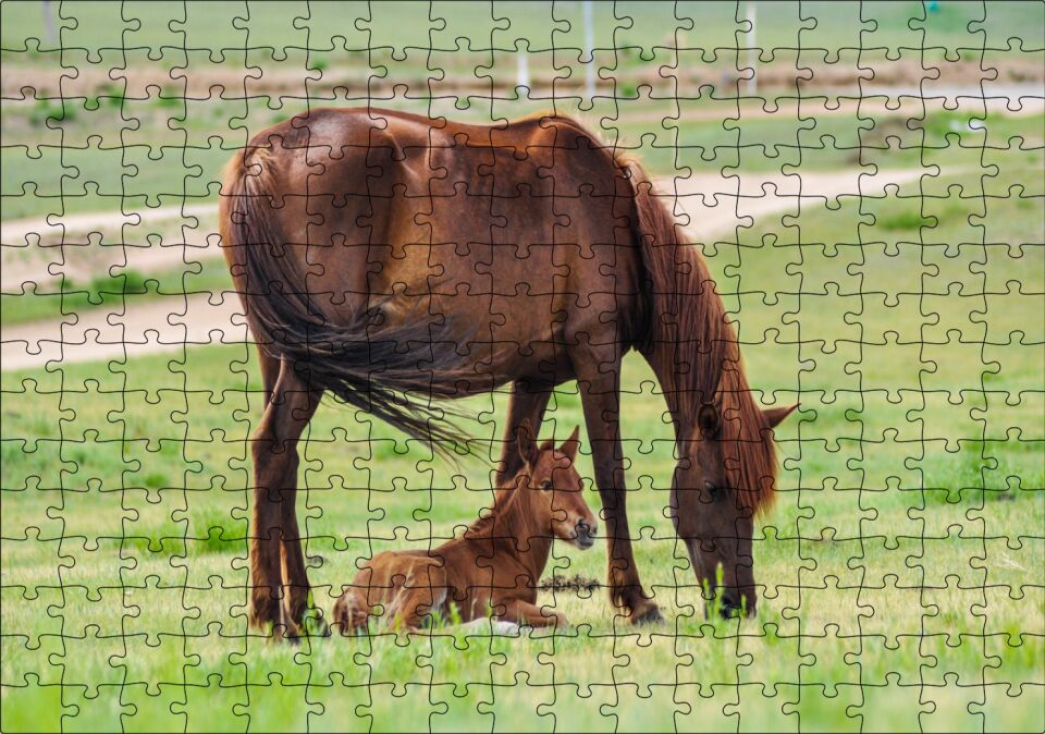 Çayırda Kahverengi Anne At ve Sevimli Tayı Puzzle Yapboz MDF Ahşap 255 Parça 34 cm X 49 cm