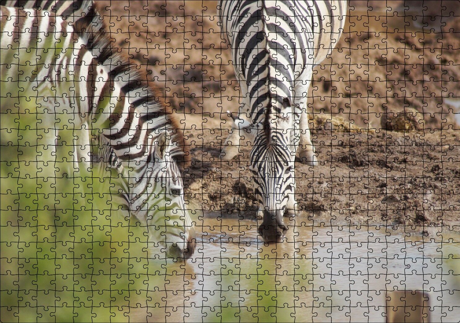 Savanada Su İçen Zebralar Puzzle Yapboz MDF Ahşap 500 Parça 49 cm X 68 cm