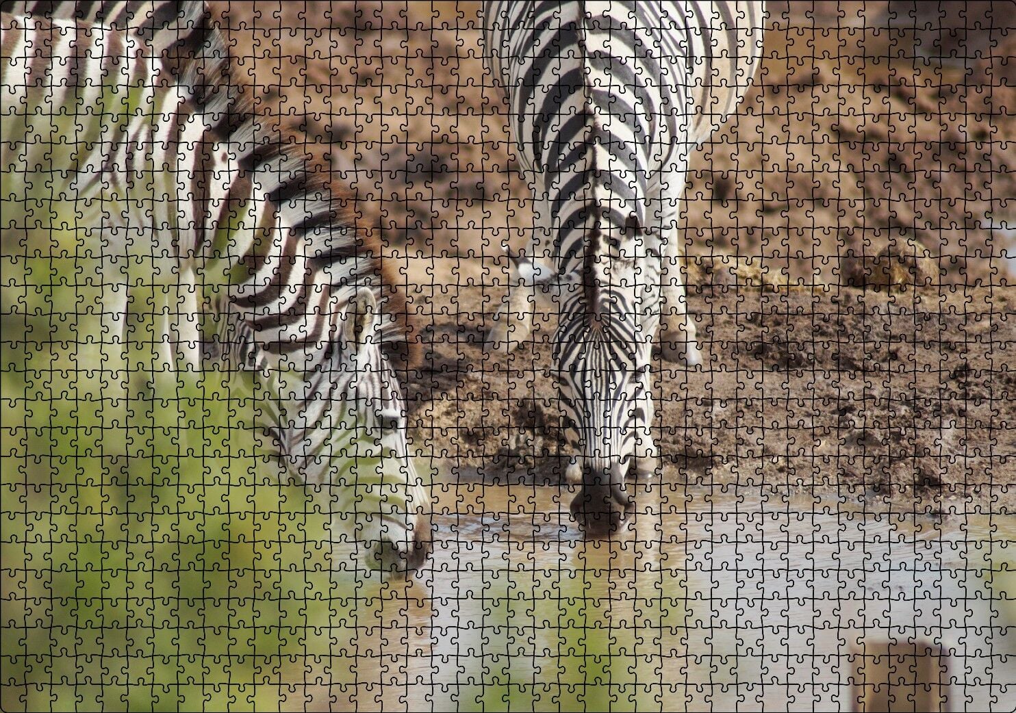 Savanada Su İçen Zebralar Puzzle Yapboz MDF Ahşap 1000 Parça 49 cm X 68 cm