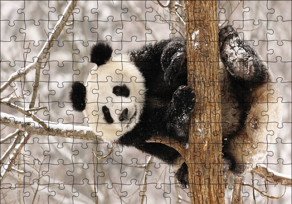 Ağaç Dalında Panda Puzzle Yapboz MDF Ahşap