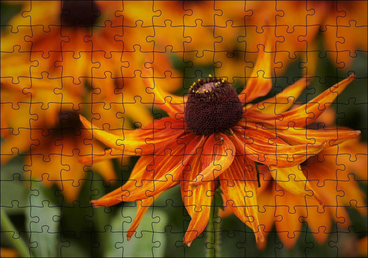 Turuncu Yapraklı Çiçek Yakın Plan Puzzle Yapboz MDF Ahşap
