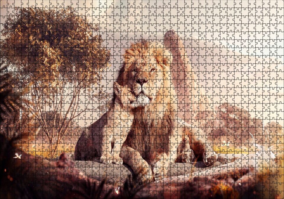 Doğada Aslan Ve Yavrusu Görseli Puzzle Yapboz MDF Ahşap 1000 Parça 49 cm X 68 cm