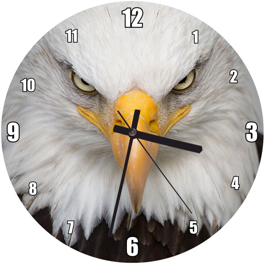 Akbaşlı Amerikan Kartalı Ön Görünüş  Mdf Ahşap Duvar Saati 50 cm Çap