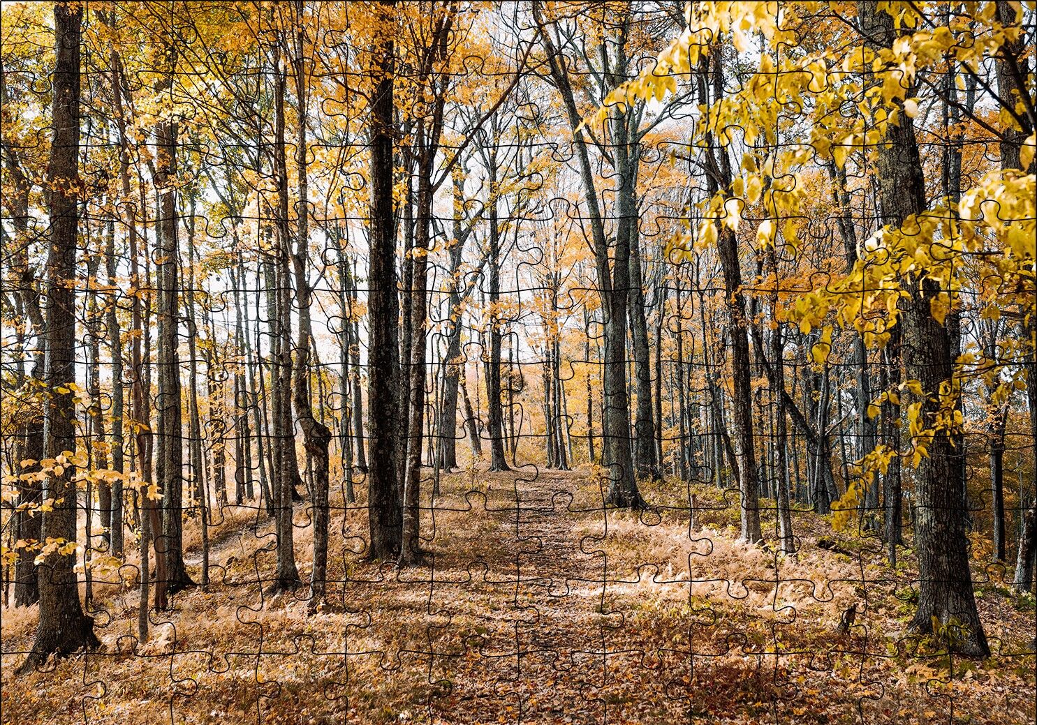 Sonbahar Renklerinde Orman Puzzle Yapboz MDF Ahşap 120 Parça 24 cm X 34 cm