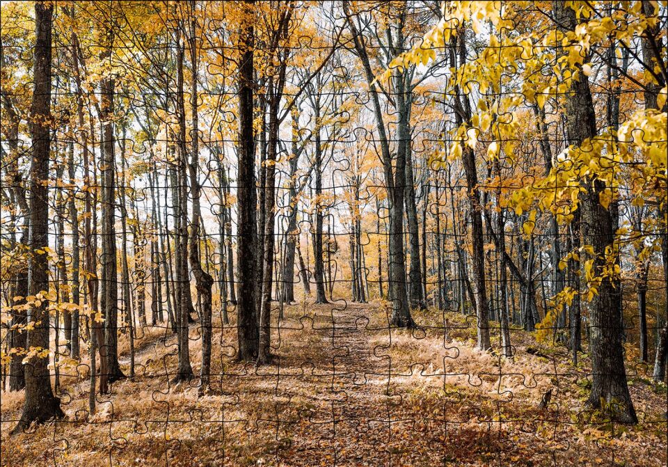 Sonbahar Renklerinde Orman Puzzle Yapboz MDF Ahşap 120 Parça 24 cm X 34 cm