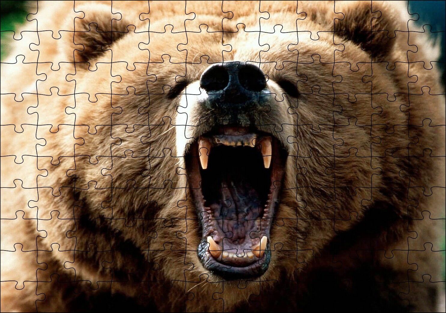 Agresif Boz Ayı Yakın Çekim Puzzle Yapboz MDF Ahşap 120 Parça 24 cm X 34 cm