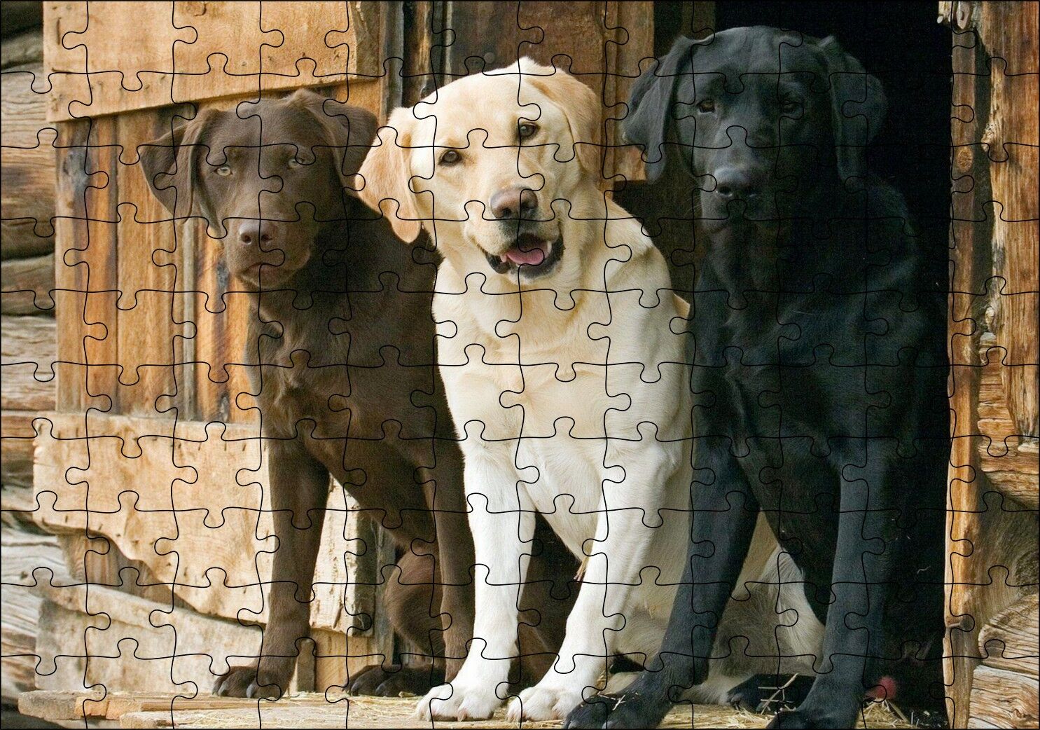 Kahve Krem ve Siyah Labradorlar Puzzle Yapboz MDF Ahşap