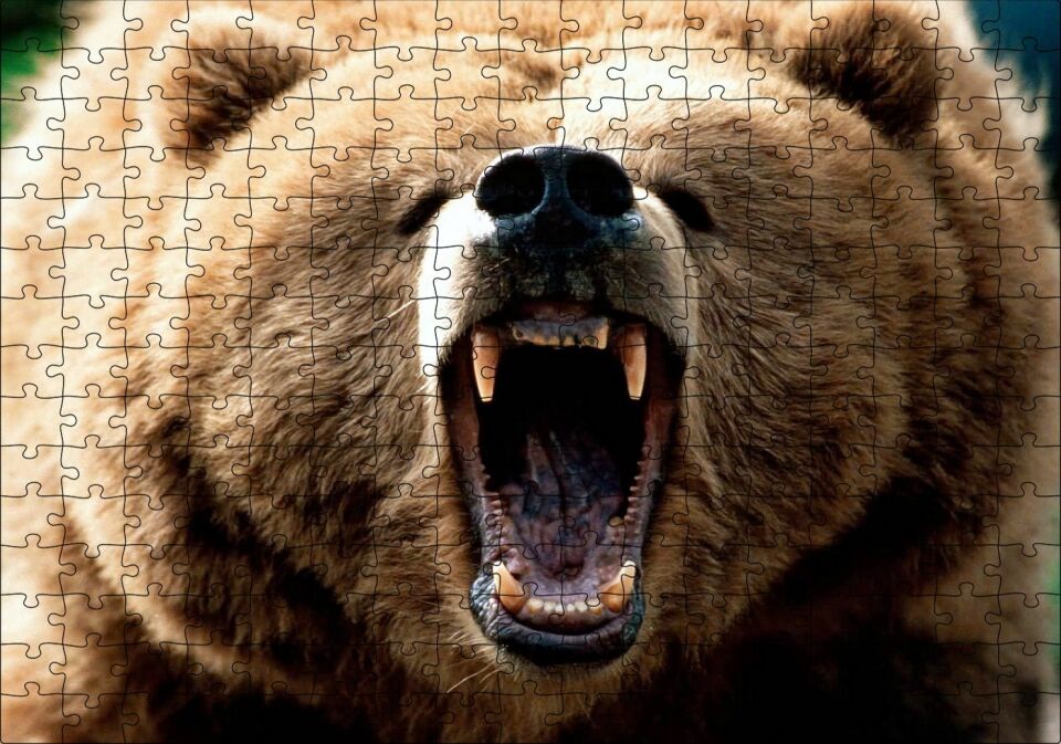 Agresif Boz Ayı Yakın Çekim Puzzle Yapboz MDF Ahşap 255 Parça 34 cm X 49 cm