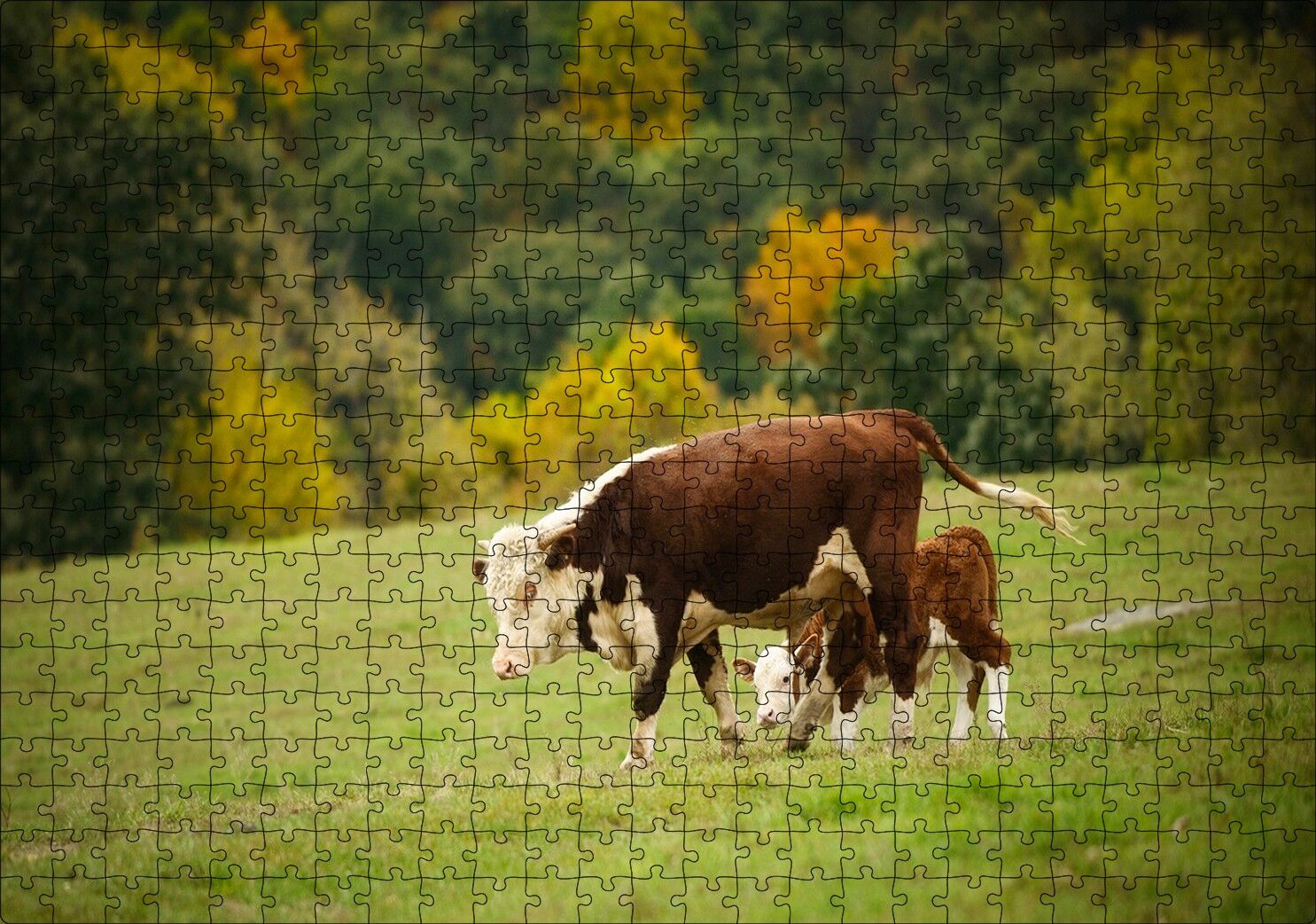 Doğada Öküz Ve Dana Koşturmacası Görseli Puzzle Yapboz MDF Ahşap 500 Parça 49 cm X 68 cm