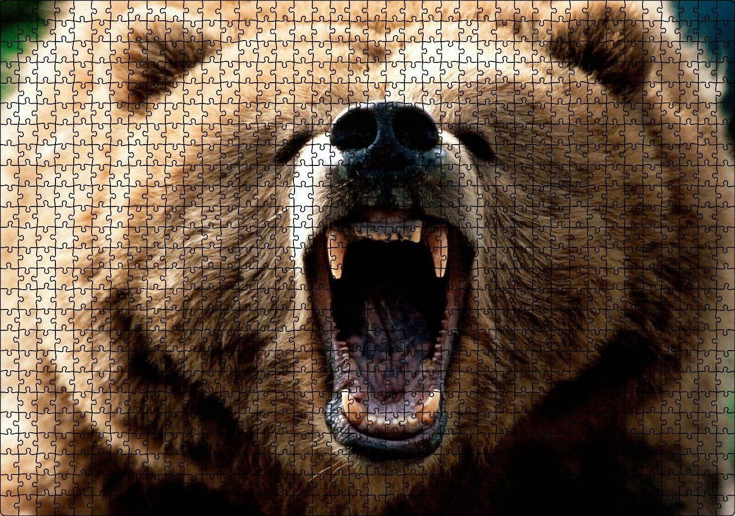 Agresif Boz Ayı Yakın Çekim Puzzle Yapboz MDF Ahşap 1000 Parça 49 cm X 68 cm