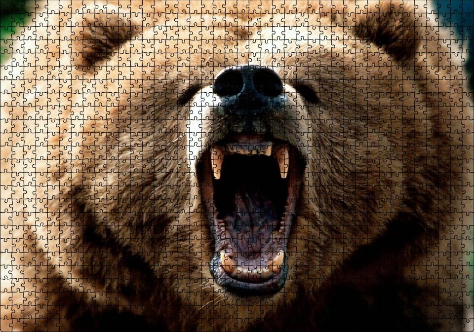 Agresif Boz Ayı Yakın Çekim Puzzle Yapboz MDF Ahşap 1000 Parça 49 cm X 68 cm