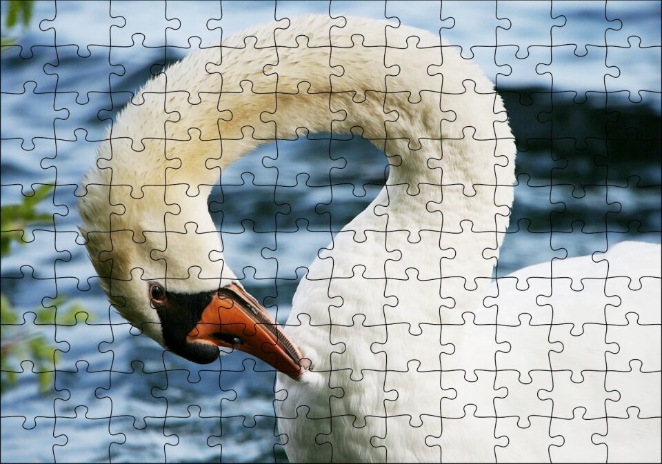 Zarif Beyaz Kuğu Yakın Plan Puzzle Yapboz MDF Ahşap