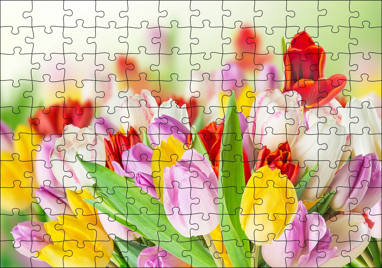Renkli Laleler Görseli Puzzle Yapboz MDF Ahşap