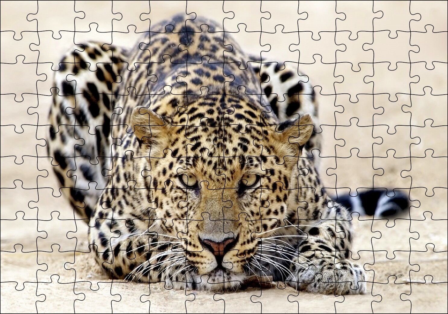 Kumların Üzerinde Pusudaki Leopar Puzzle Yapboz MDF Ahşap 120 Parça 24 cm X 34 cm