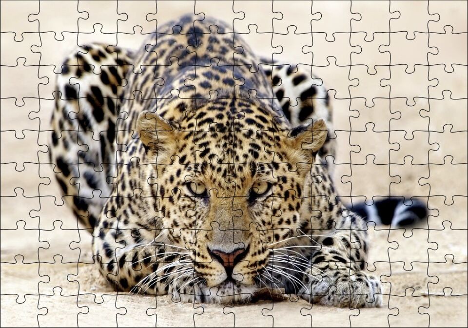 Kumların Üzerinde Pusudaki Leopar Puzzle Yapboz MDF Ahşap 120 Parça 24 cm X 34 cm