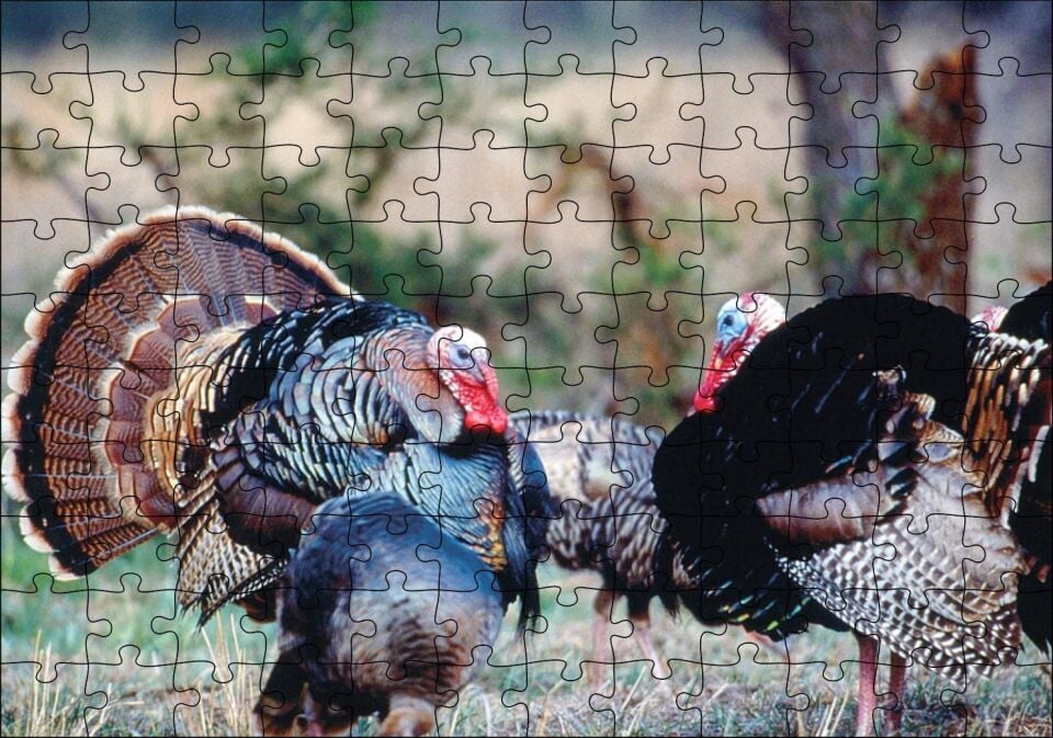Kabaran İki Hindi Puzzle Yapboz MDF Ahşap