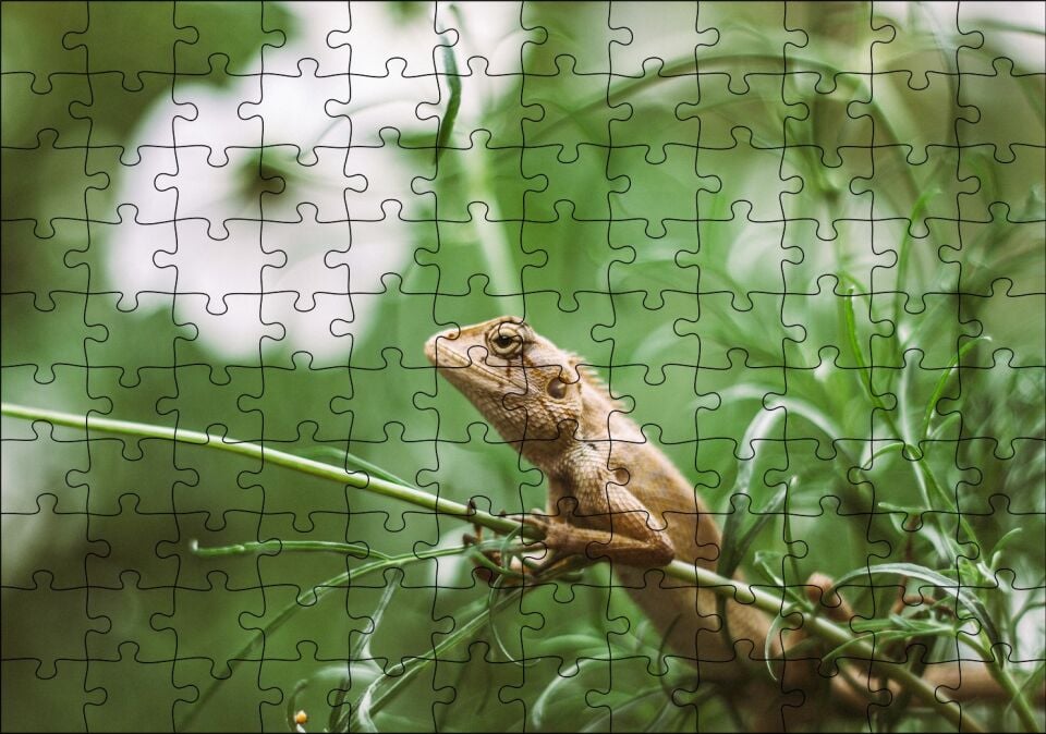 Yeşil Dallar Arasındaki İguana Flu Arka Plan Puzzle Yapboz MDF Ahşap