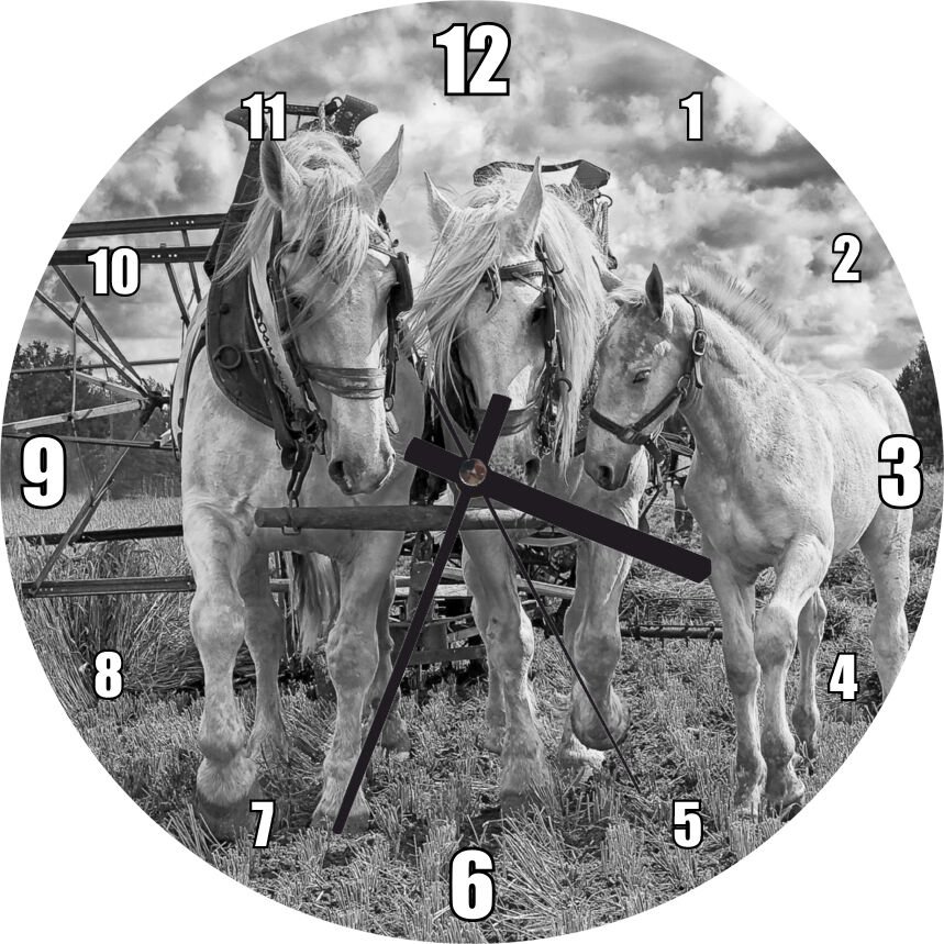 Hasat Yapan İki At ve Yanlarındaki Tay Monokrom Mdf Ahşap Duvar Saati 50 cm Çap