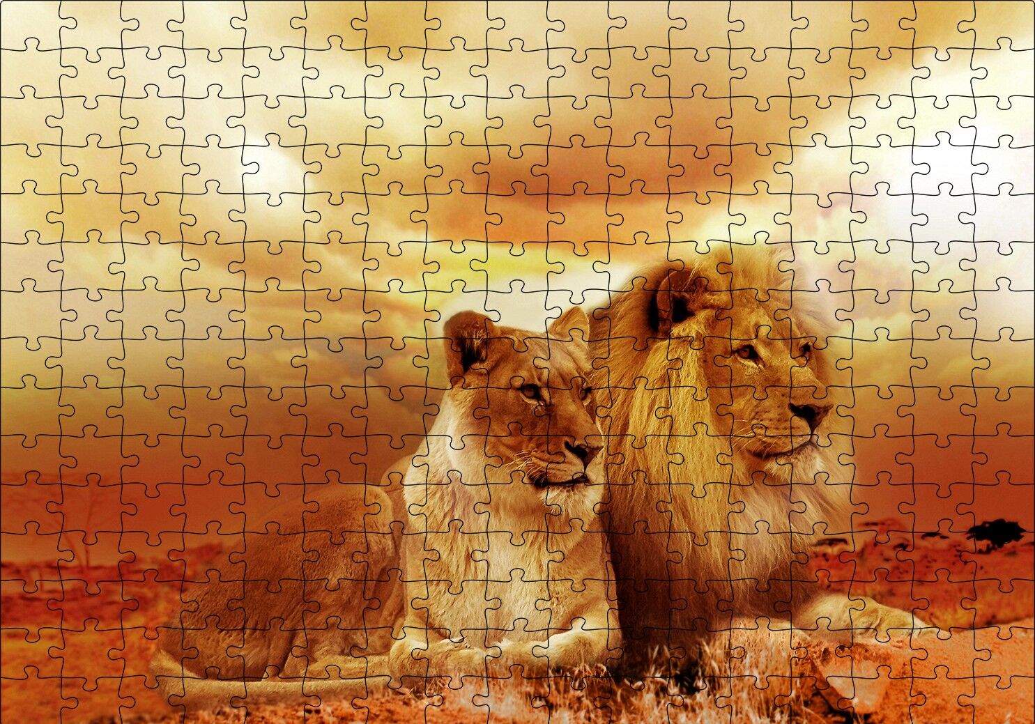 Günbatımında Aslan Çifti Puzzle Yapboz MDF Ahşap 255 Parça 34 cm X 49 cm