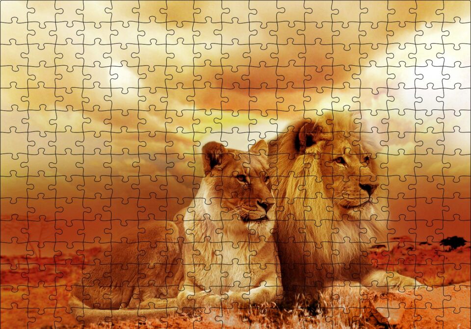 Günbatımında Aslan Çifti Puzzle Yapboz MDF Ahşap 255 Parça 34 cm X 49 cm