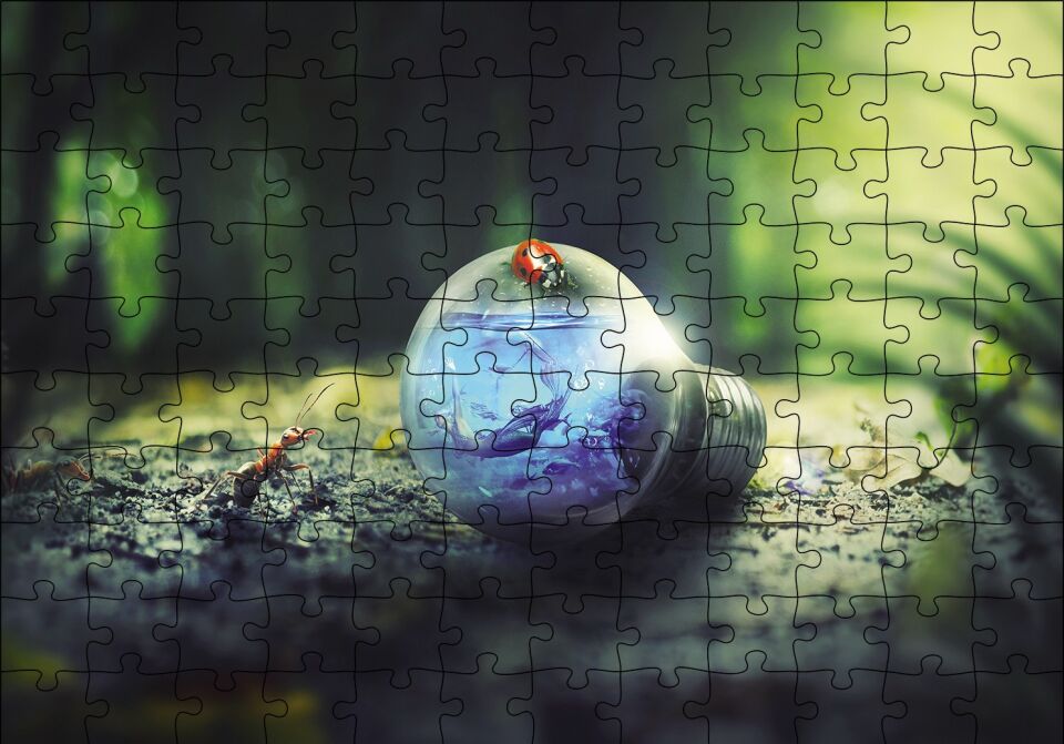 Ampül Doğa Karınca Uğurböceği Puzzle Yapboz MDF Ahşap