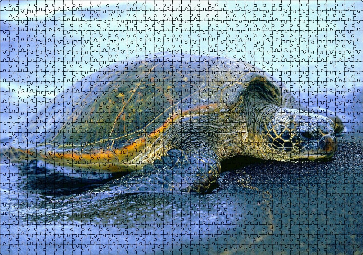 Kumsala Çıkan Caretta Caretta Puzzle Yapboz MDF Ahşap 1000 Parça 49 cm X 68 cm