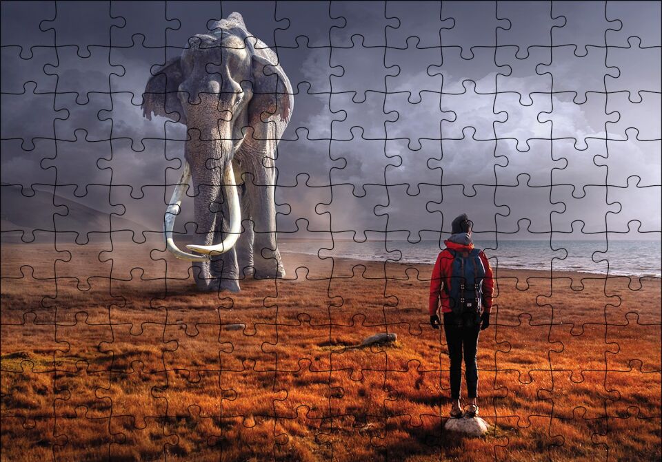 Fil Adam Fantazi Puzzle Yapboz MDF Ahşap 120 Parça 24 cm X 34 cm