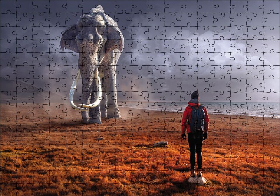 Fil Adam Fantazi Puzzle Yapboz MDF Ahşap 255 Parça 34 cm X 49 cm