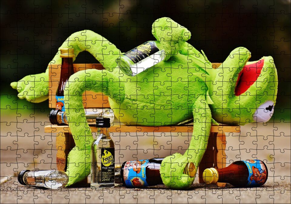 Kurbağa Kermit Bankta Sızmış Puzzle Yapboz MDF Ahşap 255 Parça 34 cm X 49 cm