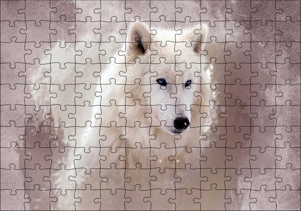 Beyaz Kurt Puslu Zemin Görseli Puzzle Yapboz MDF Ahşap