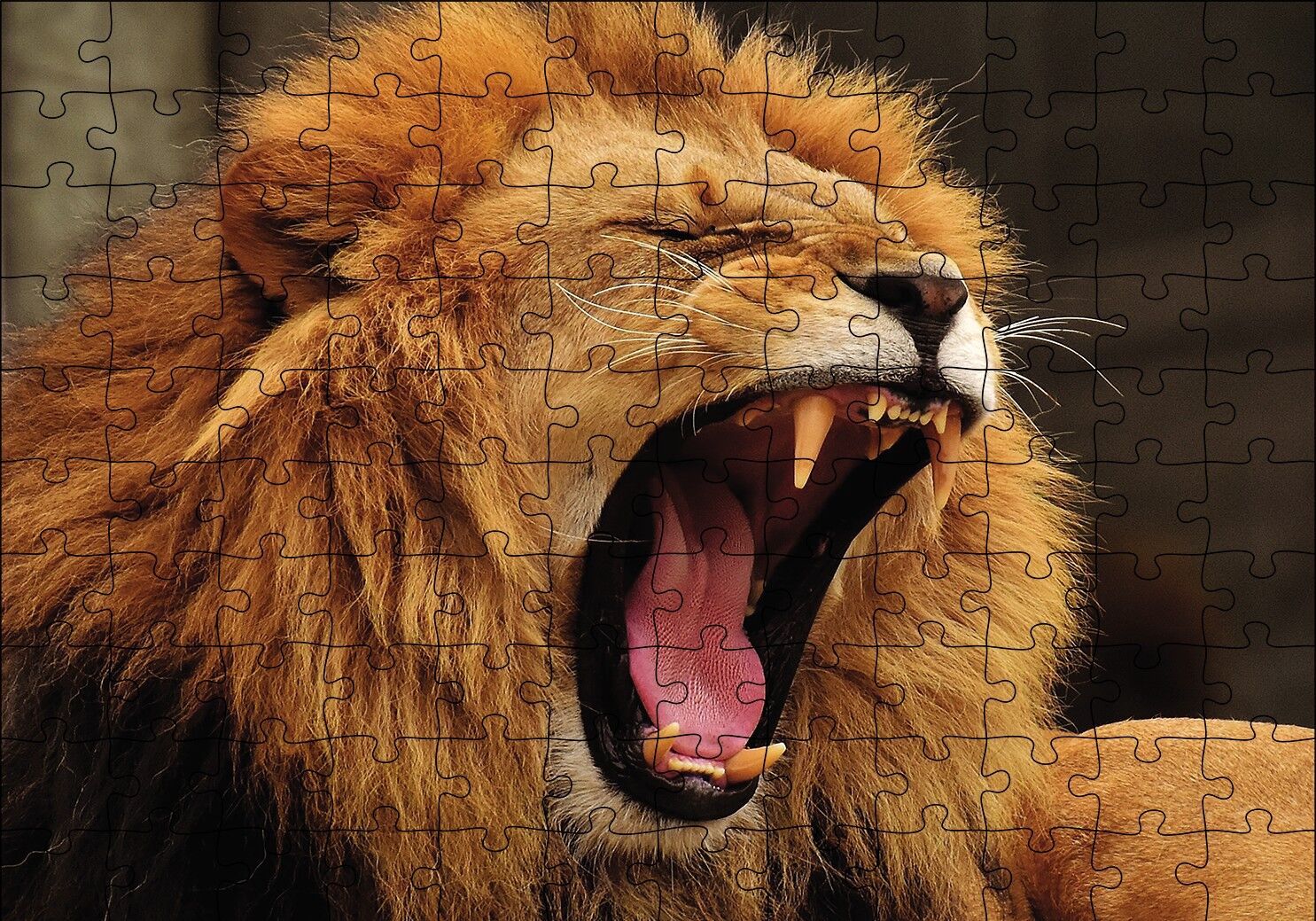 Aslan Esneyen Puzzle Yapboz MDF Ahşap