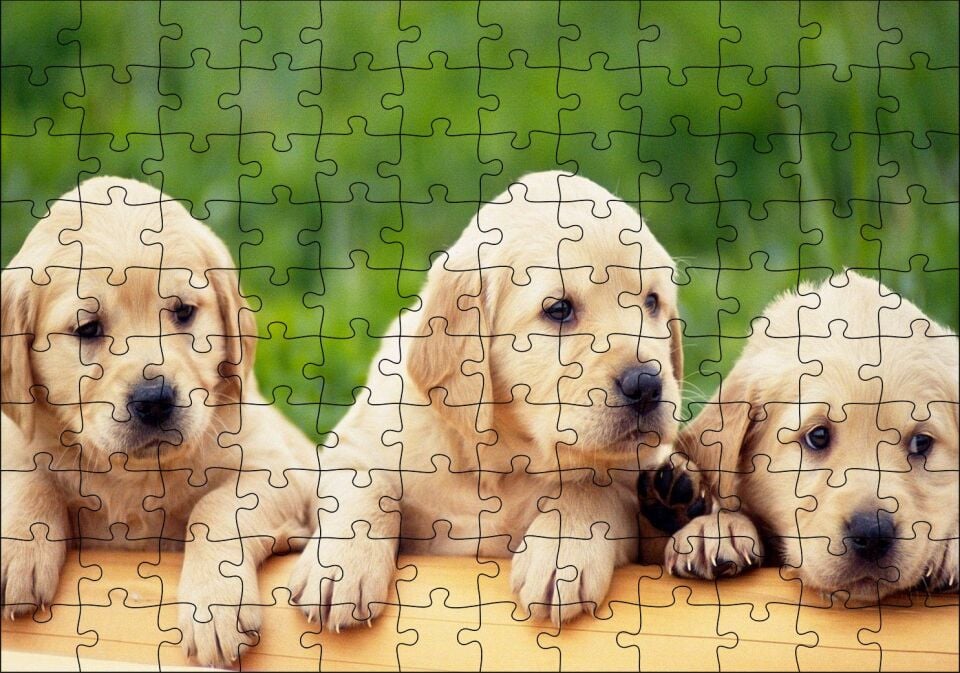 Kütüğün Üzerinde Üç Sevimli Labrador Puzzle Yapboz MDF Ahşap