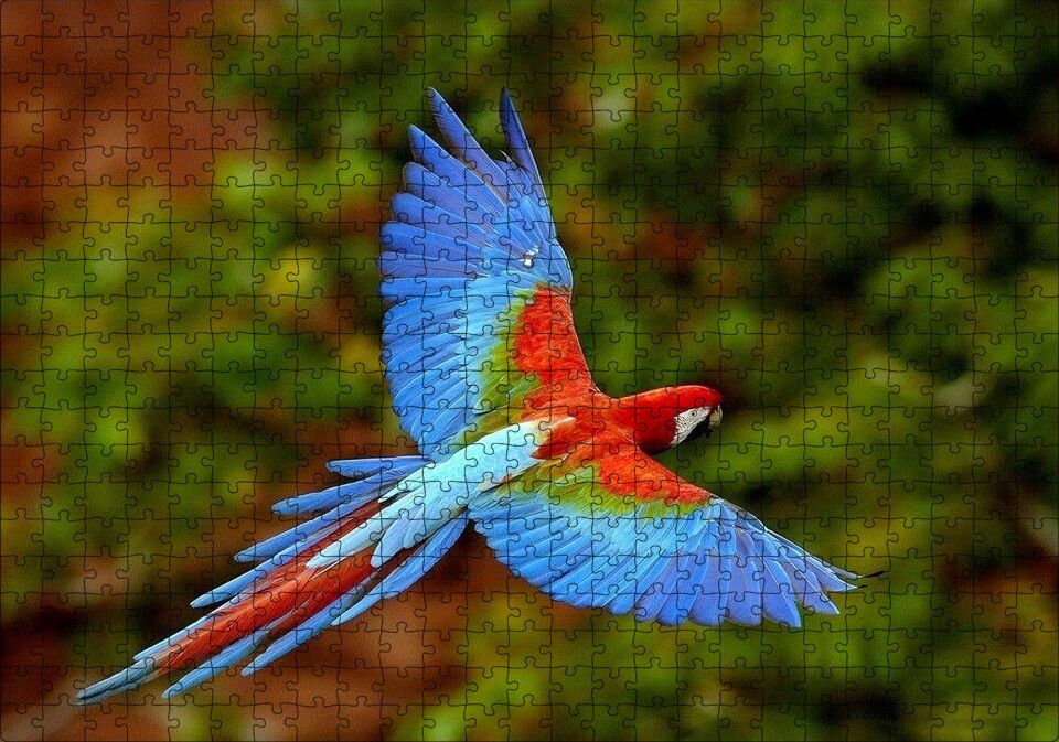 Mavi Turuncu Renkli Uçan Papağan Puzzle Yapboz MDF Ahşap 500 Parça 49 cm X 68 cm
