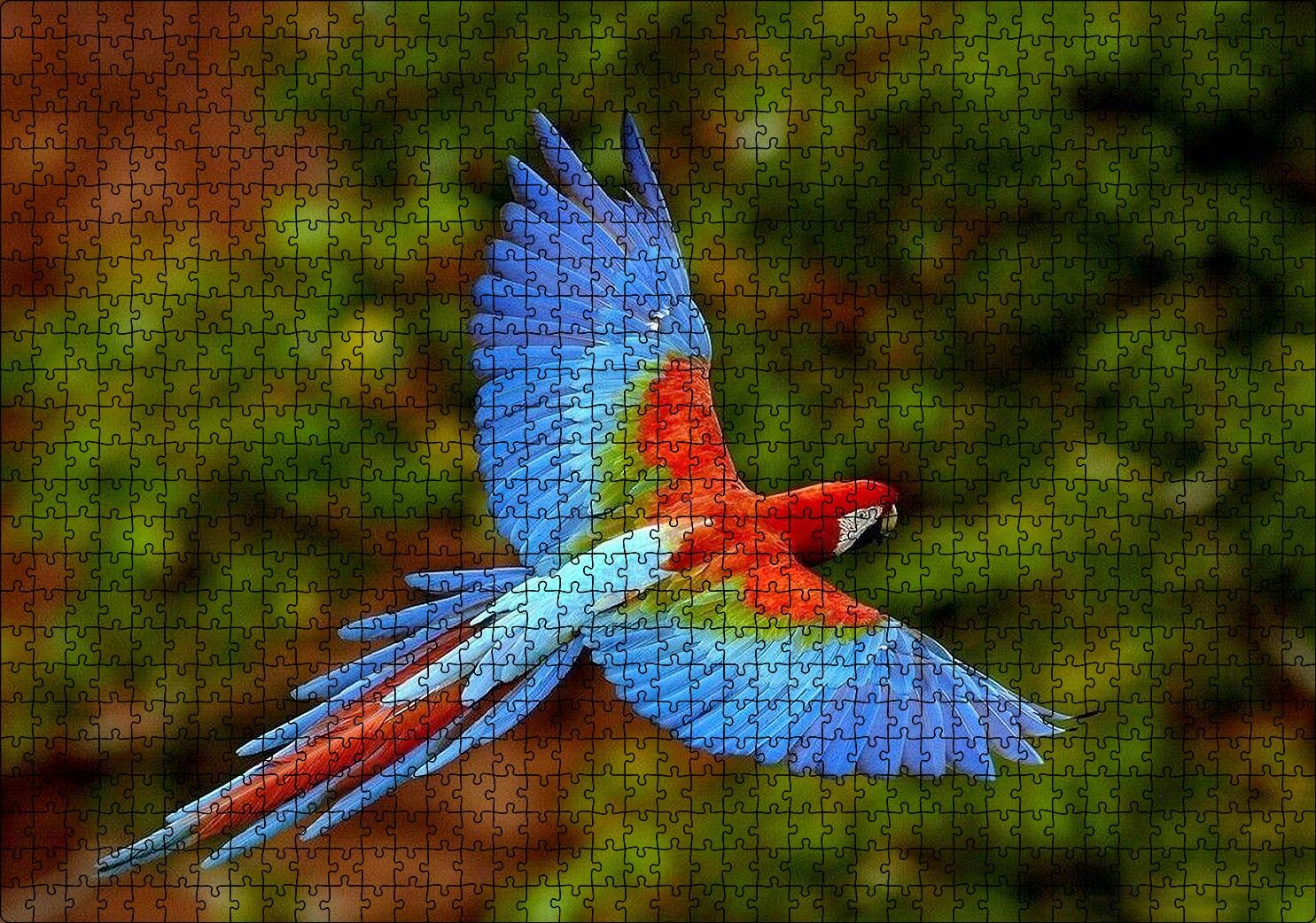 Mavi Turuncu Renkli Uçan Papağan Puzzle Yapboz MDF Ahşap 1000 Parça 49 cm X 68 cm