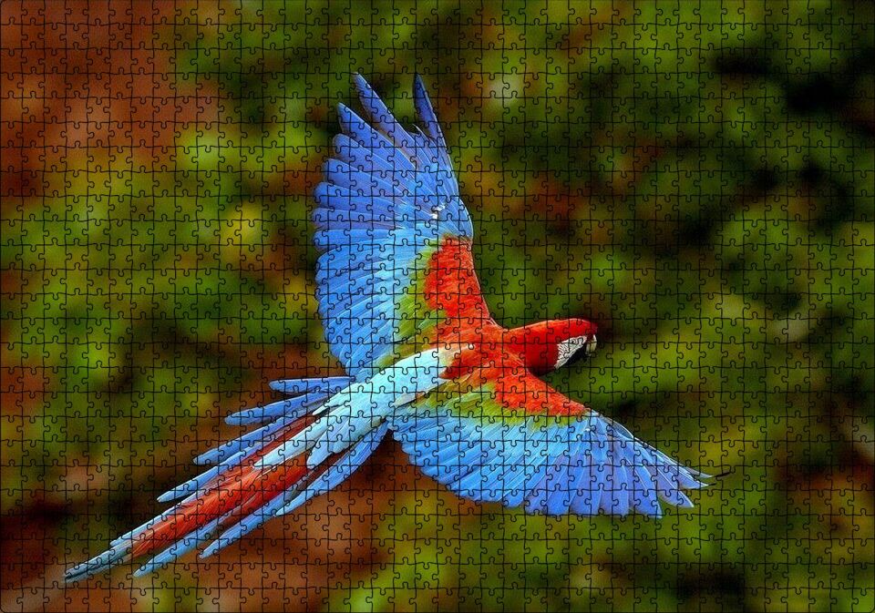 Mavi Turuncu Renkli Uçan Papağan Puzzle Yapboz MDF Ahşap 1000 Parça 49 cm X 68 cm