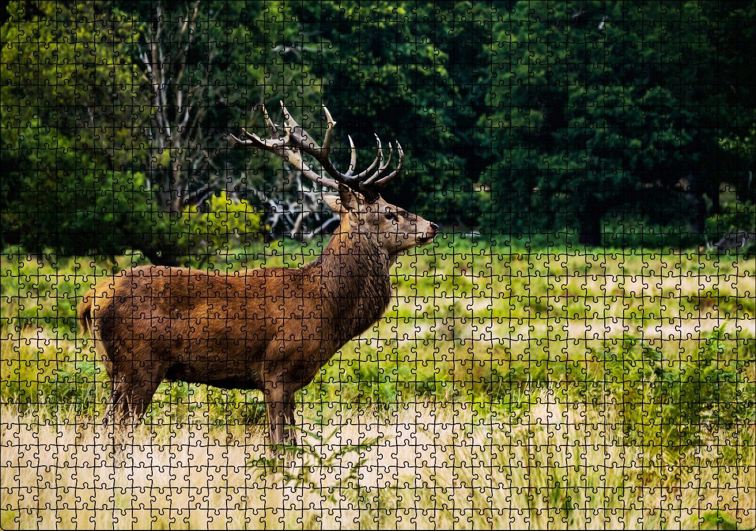 Sarı Yeşil Otlar Arasında Ren Geyiği ve Orman Puzzle Yapboz MDF Ahşap 1000 Parça 49 cm X 68 cm