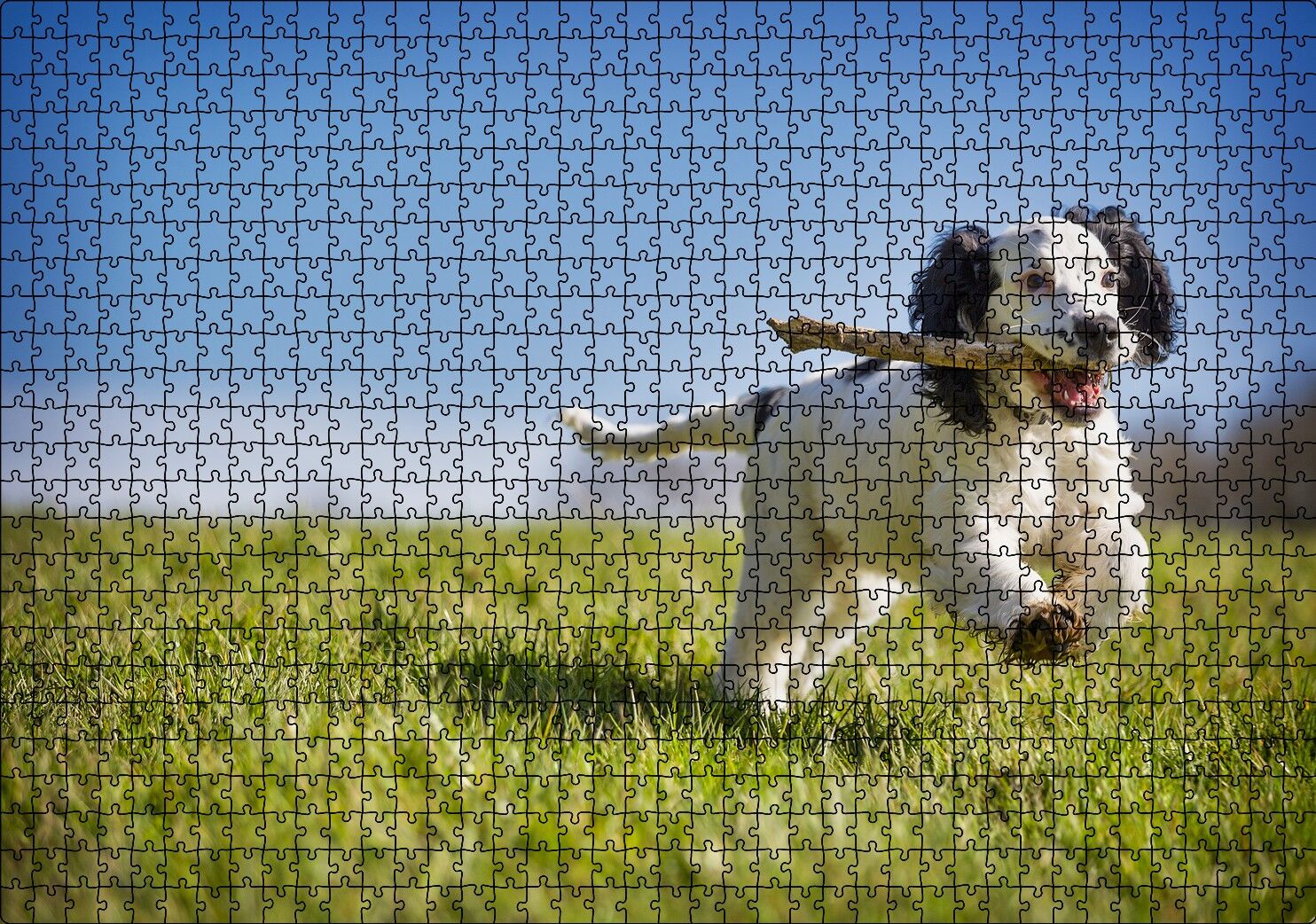 Çayırda Oyun Oynayan Sevimli Köpek Puzzle Yapboz MDF Ahşap 1000 Parça 49 cm X 68 cm
