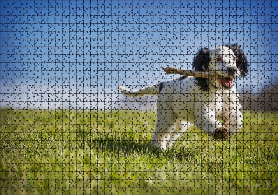 Çayırda Oyun Oynayan Sevimli Köpek Puzzle Yapboz MDF Ahşap 1000 Parça 49 cm X 68 cm