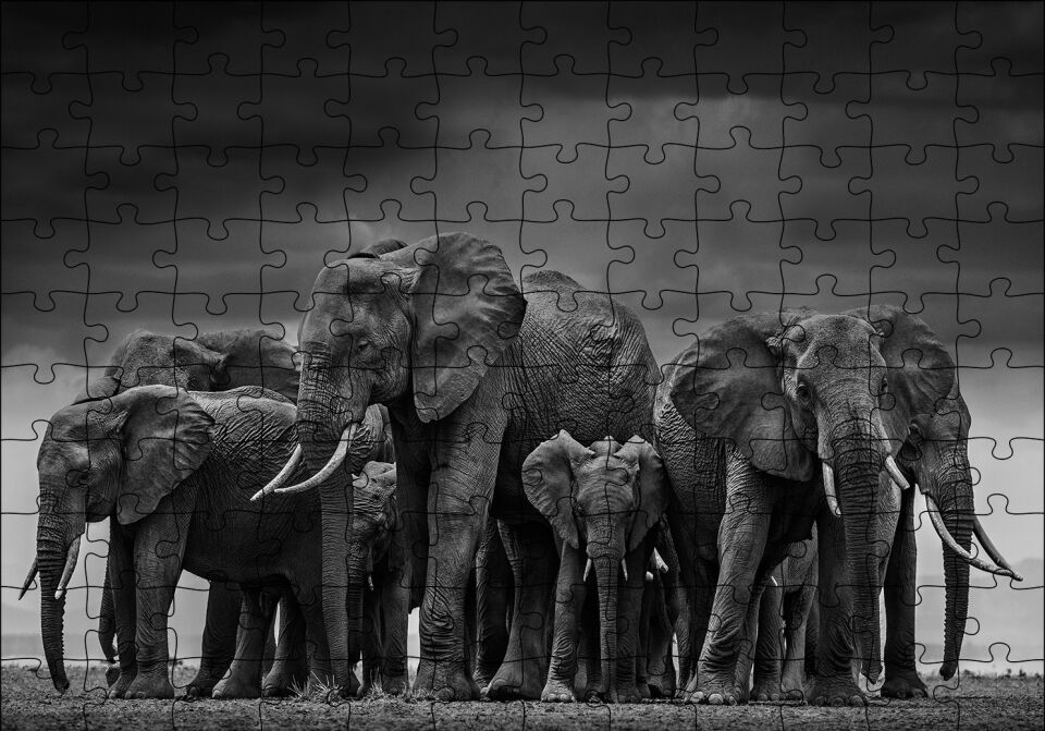 Filler Ailesi Puzzle Yapboz MDF Ahşap 120 Parça 24 cm X 34 cm