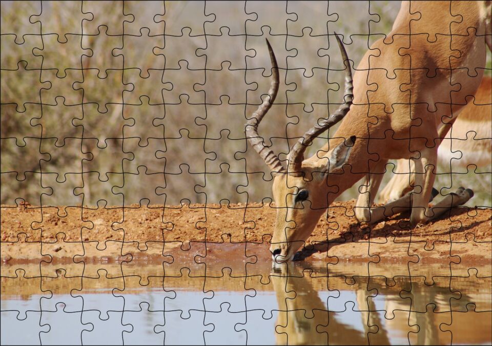 Savanada Diz Çökmüş Su İçen İmpala Puzzle Yapboz MDF Ahşap 120 Parça 24 cm X 34 cm