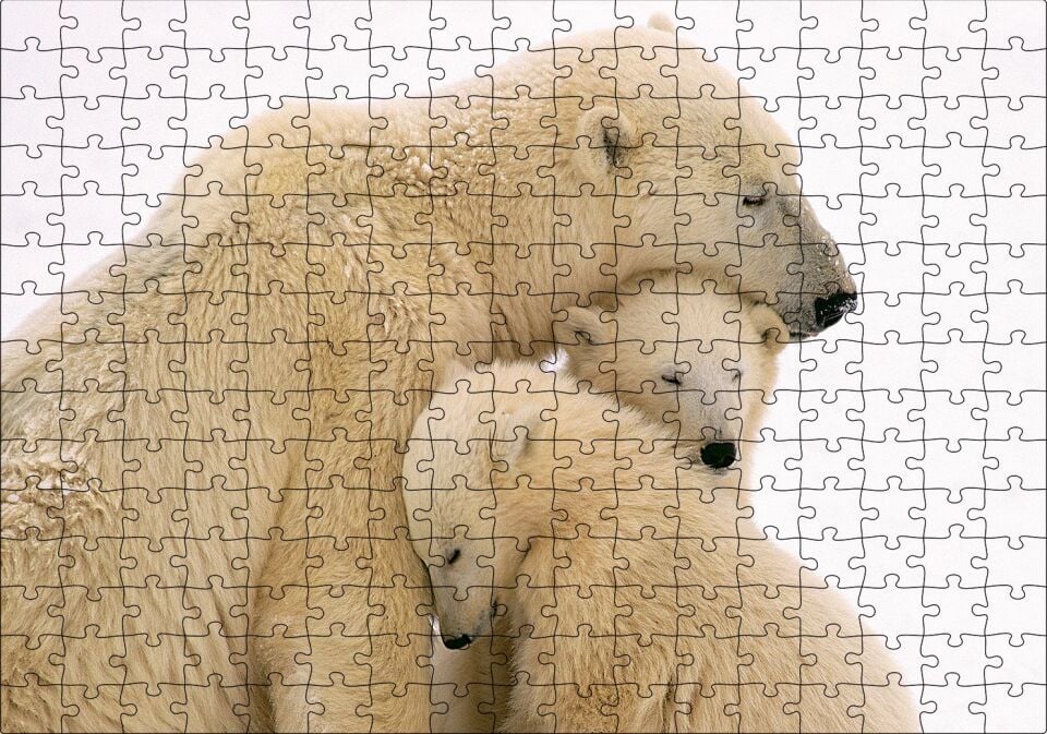 Kutup Ayısı ve Sevimli Yavruları Kar Arkaplan Puzzle Yapboz MDF Ahşap 255 Parça 34 cm X 49 cm