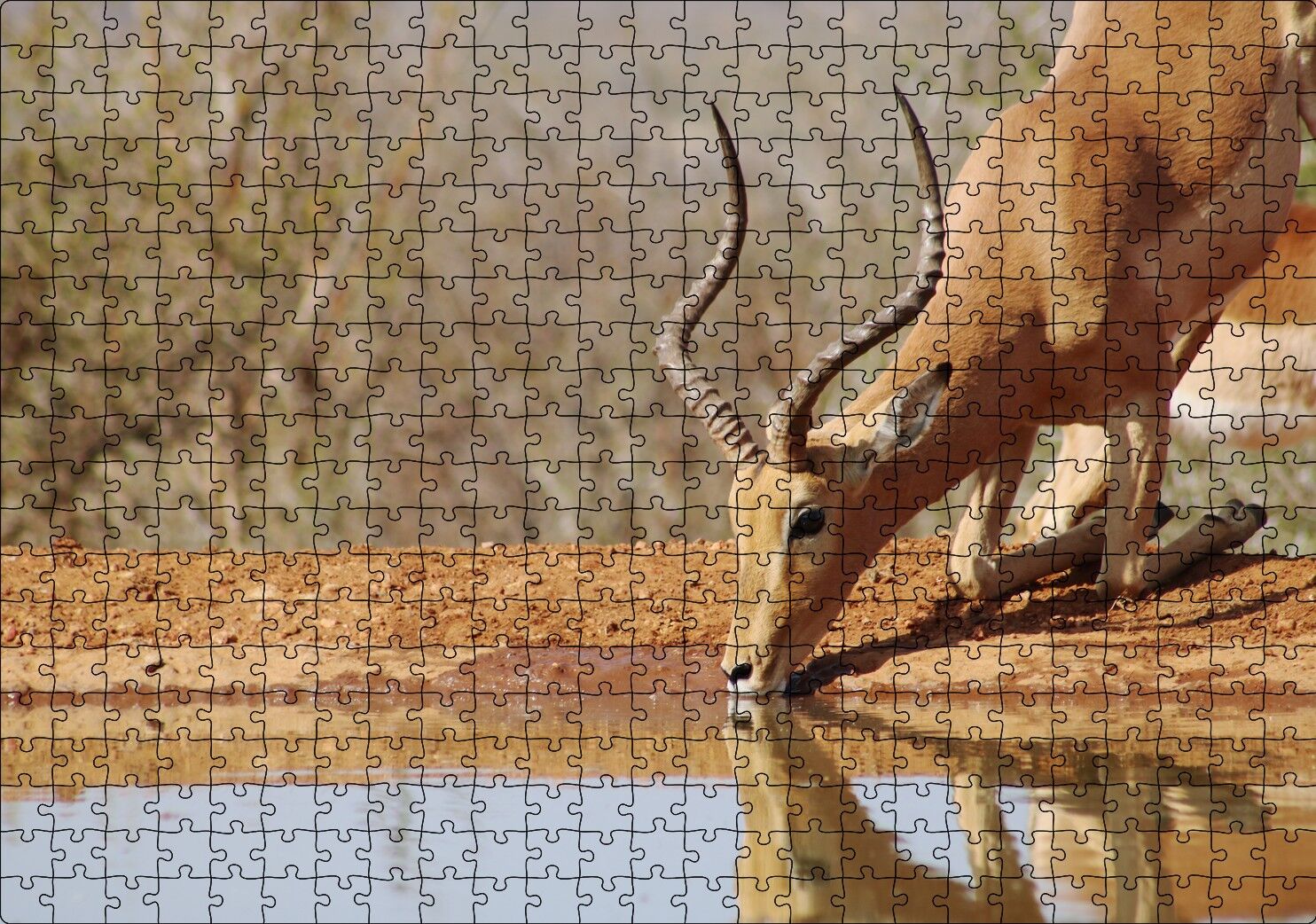 Savanada Diz Çökmüş Su İçen İmpala Puzzle Yapboz MDF Ahşap 500 Parça 49 cm X 68 cm