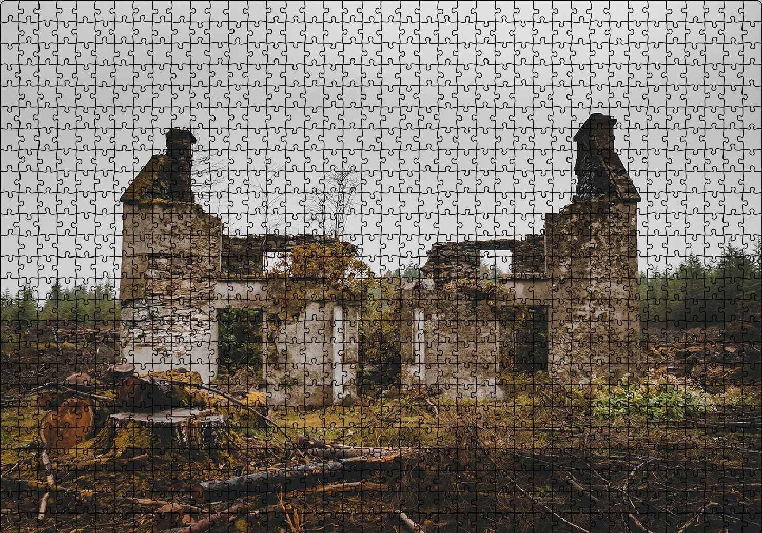 Taş Evin Yıkıntıları Puzzle Yapboz MDF Ahşap 1000 Parça 49 cm X 68 cm