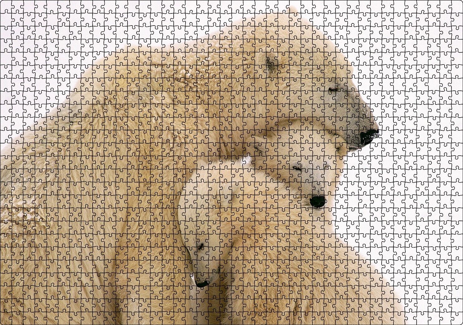 Kutup Ayısı ve Sevimli Yavruları Kar Arkaplan Puzzle Yapboz MDF Ahşap 1000 Parça 49 cm X 68 cm