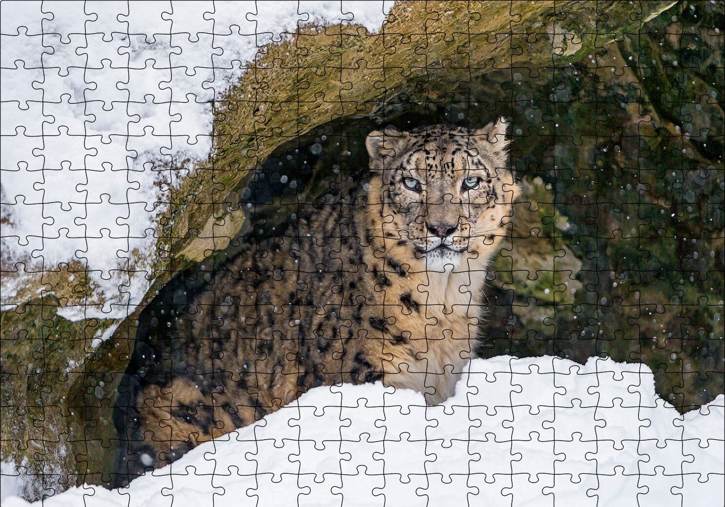 Mağara Ağzında Kar Leoparı Puzzle Yapboz MDF Ahşap 255 Parça 34 cm X 49 cm