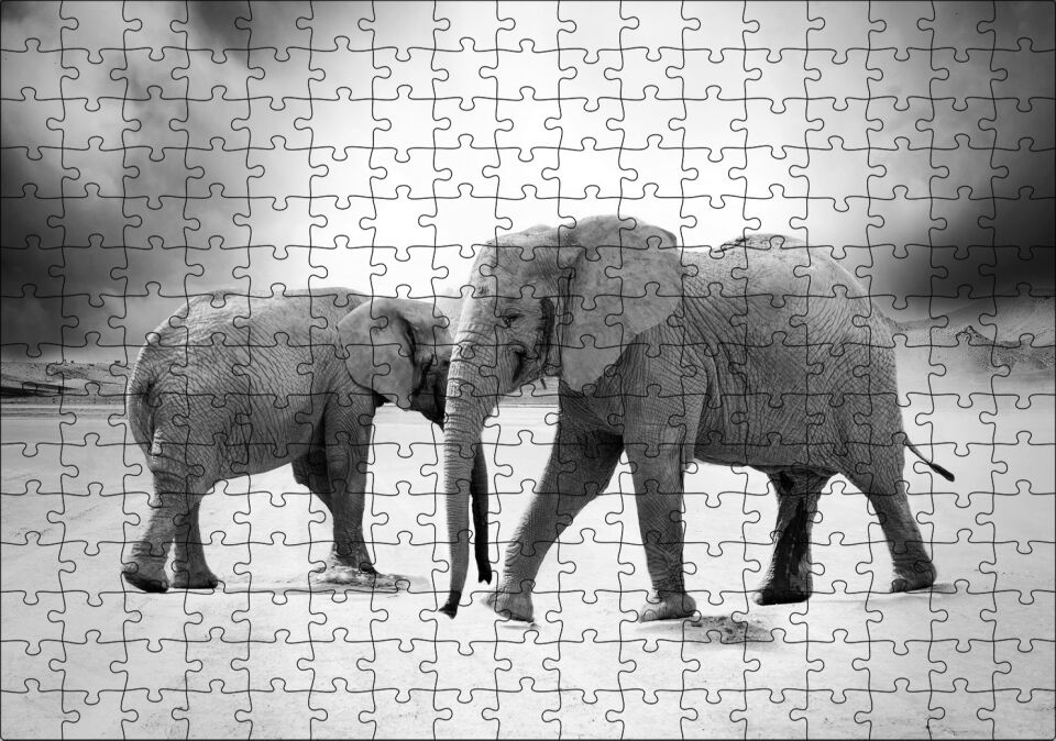 Savanada İki Fil ve Bulutlu Gökyüzü Monokrom Puzzle Yapboz MDF Ahşap 255 Parça 34 cm X 49 cm